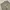 Vintage Streetwear Pria khaki photo 3