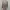 Blazers Kerja Merk Mannequin photo 1