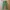 Hareiro fatigue longpants military photo 1