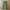 Hareiro Fatigue Longpants Military