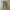 Hareiro fatigue longpants military photo 5