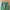 Hareiro fatigue longpants military photo 3