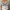 Korean Knit Top photo 1