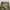 Beslow pants photo 3