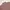 Work Plant Streetwear Vintage Casual shirt Pria white red photo 3