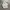 Badboy Windbreaker Jacket photo 3