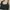 Baggu Mini Sling Black  photo 1