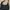 Baggu Mini Sling Black 