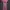 Wrap V-Neck Pink Jumpsuit Preloved