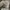 Dickies Casual Hoody Pria white green gray photo 4