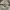 Dickies Casual Hoody Pria white green gray photo 6
