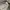 Dickies Casual Hoody Pria white green gray photo 5