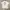 Tshirt Newera Pocket White photo 1
