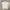 Polo Ralphlauren Poloshirt White photo 1