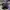 RICK OWEN VINTAGE LOW SNEAKERS BLACK , RICK OWEN VINTAGE LOW photo 4