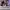 AIR JORDAN 1 RETRO HIGH OG BLOODLINE photo 3