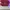 AIR JORDAN 1 RETRO HIGH OG BLOODLINE photo 5