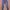 Skinny Jeans (High) photo 1