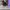 AIR JORDAN 1 REACT HIGH BLACK WHITE photo 4