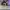 AIR JORDAN 1 REACT HIGH BLACK WHITE photo 3