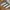 Adidas Spezial photo 6
