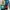 🌼LD : 120 🌼LP : 67 photo 2