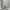 Grunge Track jacket Pria white photo 6