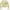 Colorbox Double Layered Long Sleeve Top Crop Top photo 1