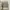 ONE SET photo 2
