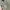 serba 650 photo 6