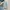 serba 650 photo 1