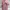 Jaket casual warna pastel photo 2