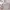 Michael kors tote bag aspen vanilla photo 5