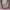 Michael kors tote bag aspen vanilla photo 4