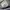 Diesel chelsea Boots Goat Laether photo 8