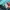 Adidas Sportswear Puffer jacket Pria multicolor photo 5