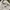 Hoodie Adidas x Andre saravia photo 5