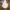 Hoodie Adidas x Andre saravia photo 1