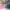 Jilbab Paris mix 5in1 photo 1