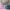Jilbab Paris mix 5in1 photo 2