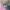 Jilbab Paris Mix 5in1