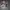 Skincarae photo 1