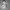 Skincarae photo 2