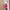 Crop blazer pink photo 1