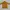 GAP Casual Sweater Pria tan yellow photo 6