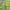 Y2K Green & White Long Sleeved Stripped Top photo 4