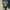 Y2K Green & White Long Sleeved Stripped Top photo 7