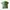 Stussy Streetwear Skater T-shirt Pria Green