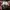Nike Skater Sneakers Pria burgundy white black yellow photo 2