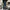 Uniqlo Jeans Reguler Straight Fabric By Kaihara photo 1